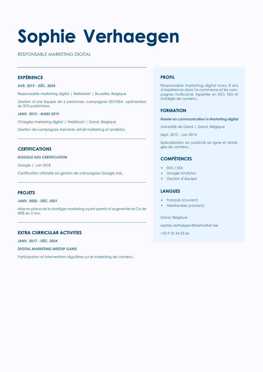 Bronze Resume Template