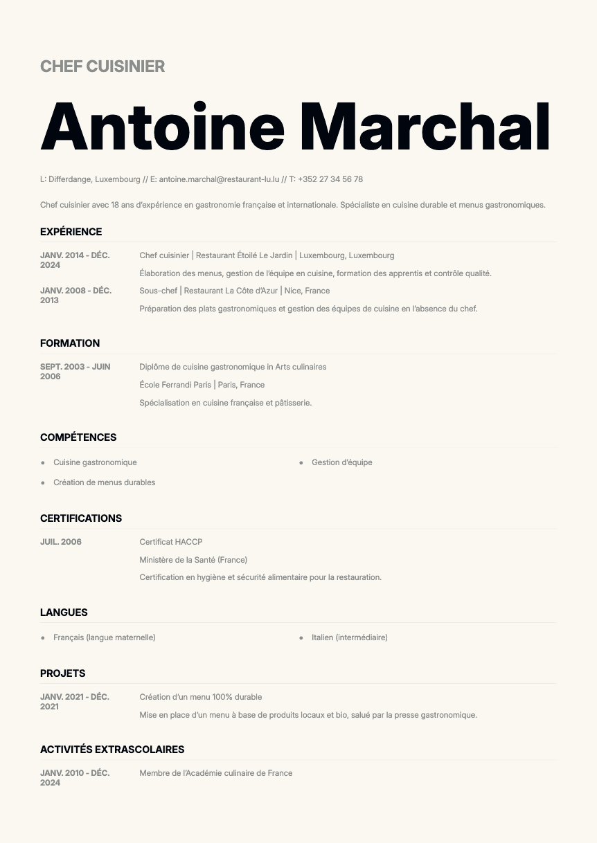 Zinc Resume Template