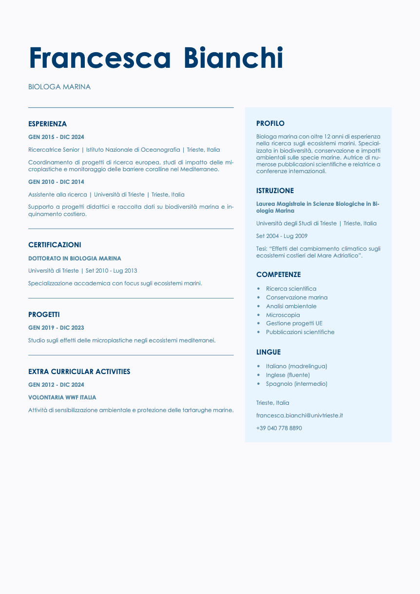 Bronze Resume Template