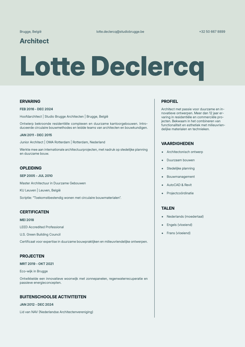 Sapphire Resume Template
