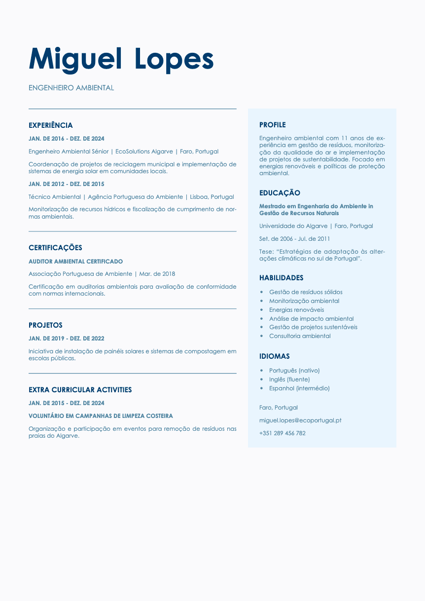 Bronze Resume Template