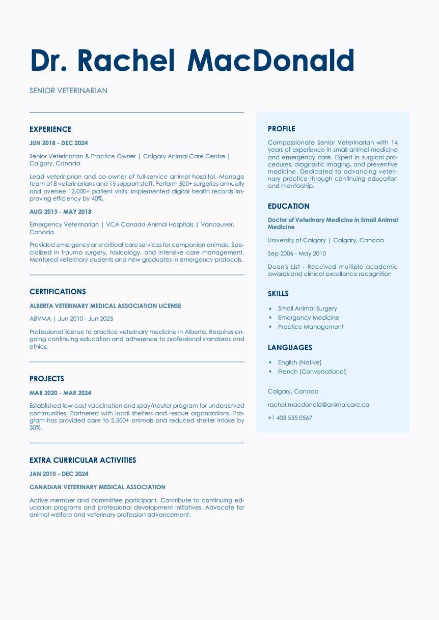 Bronze - Resume template Bronze - Resume and CV template preview, professional ATS-friendly design